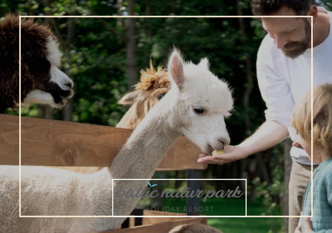 Baltic Natur Park - Holiday Resort Ниешорце Екстериор снимка