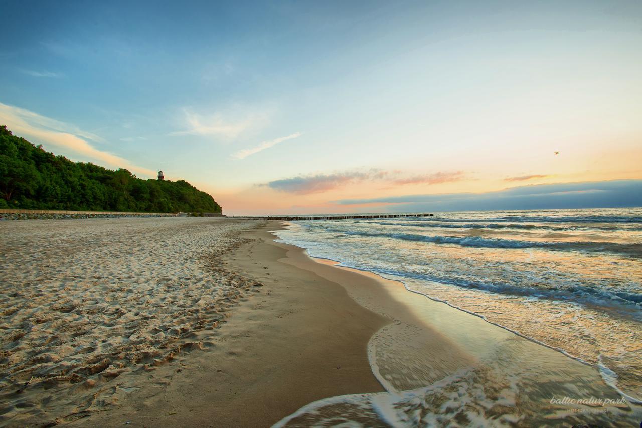 Baltic Natur Park - Holiday Resort Ниешорце Екстериор снимка